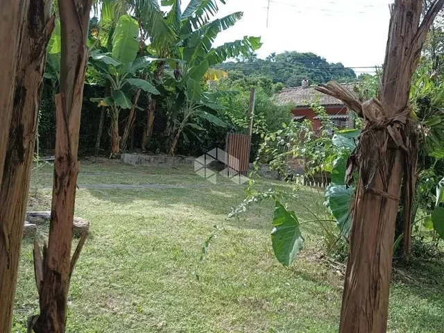 Imagem 16: Casa 2 Dormitórios Porto da Lagoa - Florianópolis/ Sc