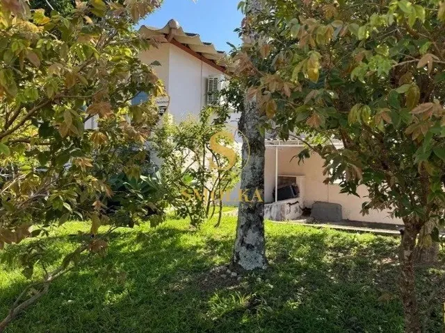 Imagem 2: Casa no Parque São Jorge Andar Unico Sem Escadas 4 Dormitórios