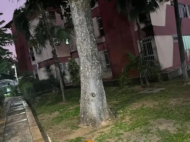 Imagem 2: Imóvel para Aluguel Tem 55 Metros Quadrados com 2 Quartos em Capim Macio - Natal - Rn