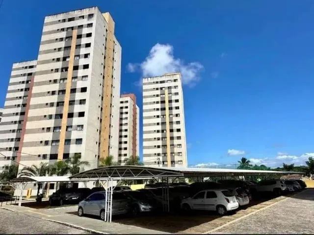 Imagem 14: Apartamento para Alugar em Pitimbu