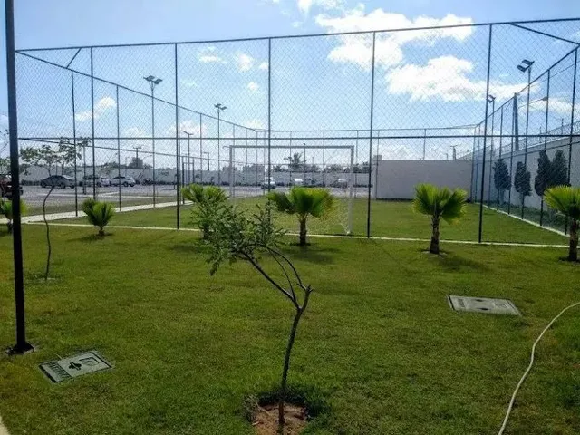 Imagem 15: Oportunidade da Semana- Aurea Guedes