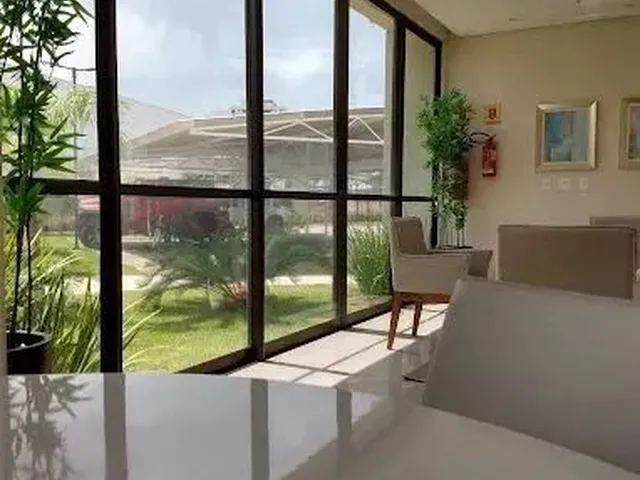 Imagem 13: Oportunidade da Semana- Aurea Guedes
