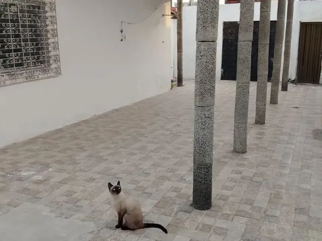 Imagem 3: Casa na Maraponga