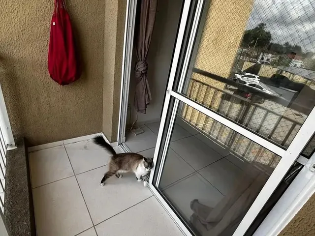 Imagem 9: Lindo Apto a Venda na Maraponga - Próx a Godofredo Maciel