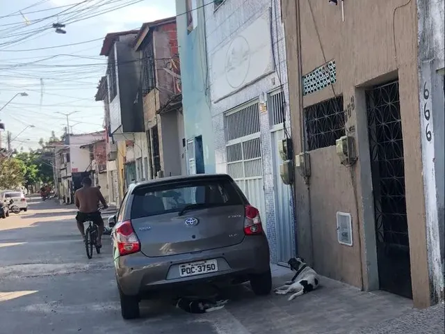 Imagem: Casa Duplex Rodolfo Teófilo