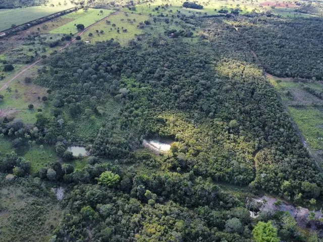 Imagem: Chácara 21,78 Ha (4,5Alqueiro) À Venda
