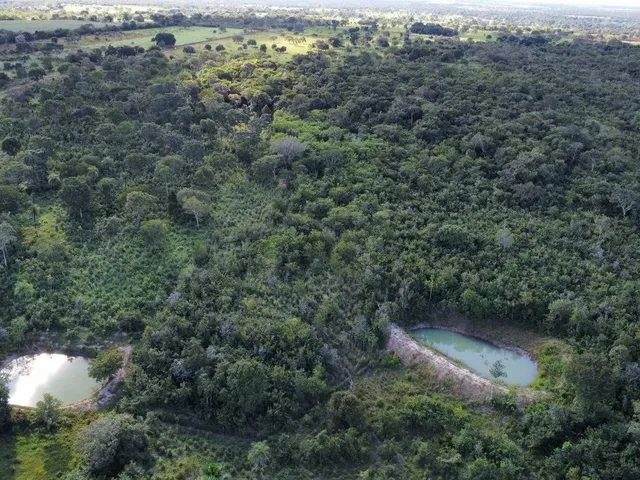 Imagem 2: Chácara 21,78 Ha (4,5Alqueiro) À Venda ? Divinópolis do Tocantins