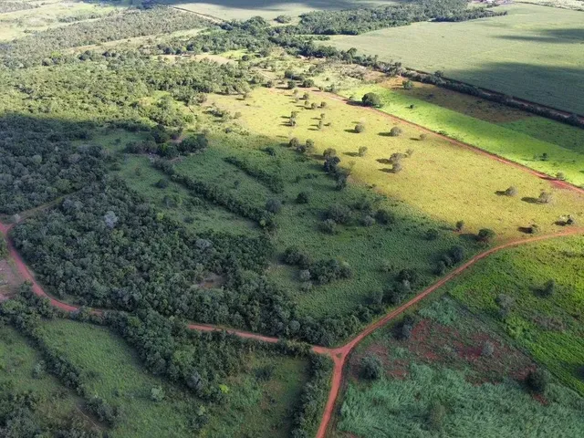Imagem 4: Chácara 21,78 Ha (4,5Alqueiro) À Venda ? Divinópolis do Tocantins