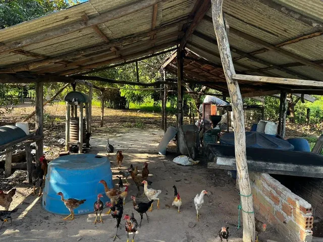 Imagem 5: Chácara 21,78 Ha (4,5Alqueiro) À Venda ? Divinópolis do Tocantins