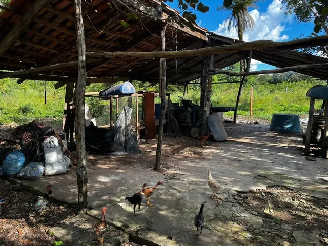 Imagem 6: Chácara 21,78 Ha (4,5Alqueiro) À Venda ? Divinópolis do Tocantins