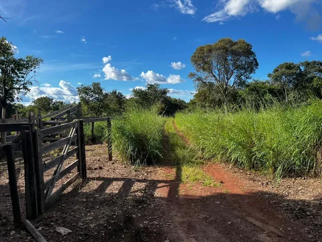 Imagem 7: Chácara 21,78 Ha (4,5Alqueiro) À Venda ? Divinópolis do Tocantins