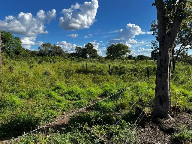 Imagem 10: Chácara 21,78 Ha (4,5Alqueiro) À Venda ? Divinópolis do Tocantins