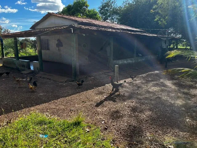 Imagem 12: Chácara 21,78 Ha (4,5Alqueiro) À Venda ? Divinópolis do Tocantins