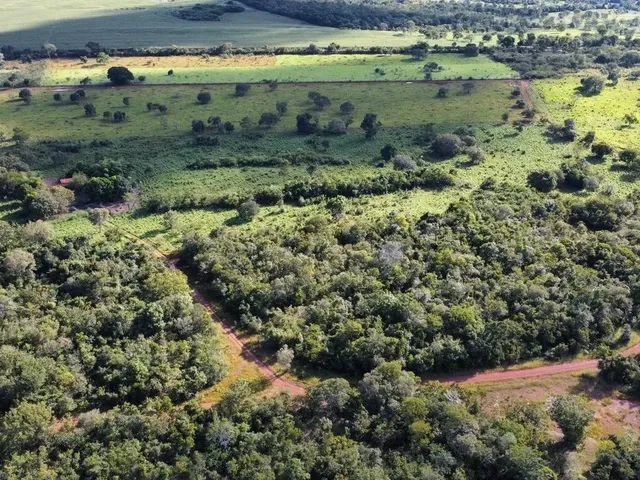 Imagem 15: Chácara 21,78 Ha (4,5Alqueiro) À Venda ? Divinópolis do Tocantins