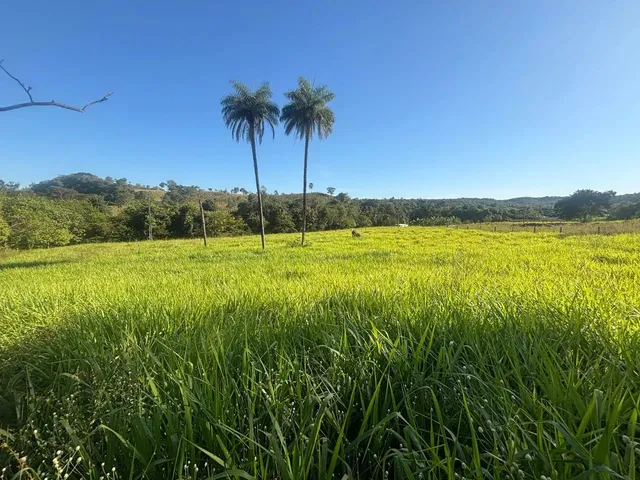 Imagem: Balneario - Chácara em Aparecida do Rio