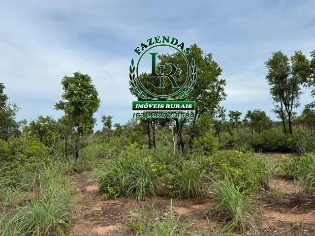 Imagem 1: Chácara de 2.500M² Próximo a Palmas Região do Prata