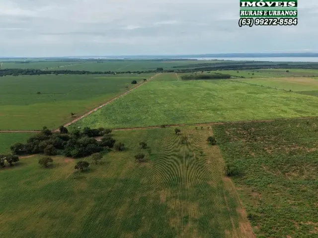 Imagem 13: Chácara de 2.500M² Próximo a Palmas Região do Prata