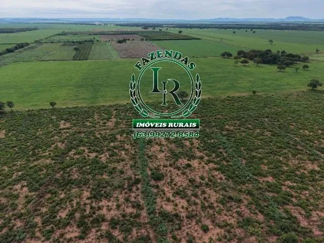 Imagem 3: Chácara de 2.500M² Próximo a Palmas Região do Prata