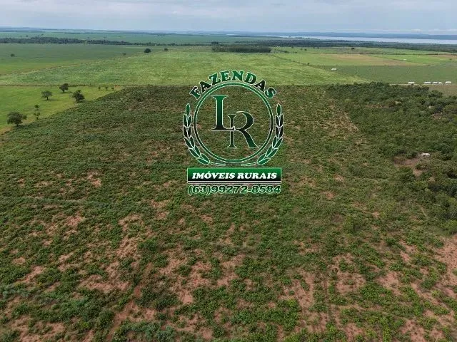 Imagem 4: Chácara de 2.500M² Próximo a Palmas Região do Prata