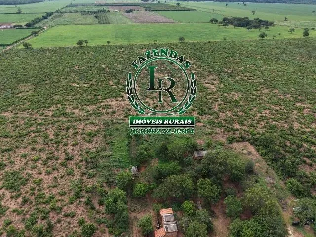 Imagem 7: Chácara de 2.500M² Próximo a Palmas Região do Prata