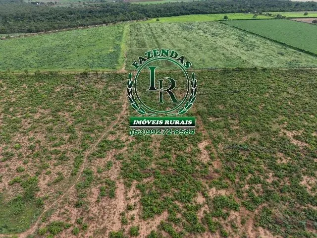 Imagem 12: Chácara de 2.500M² Próximo a Palmas Região do Prata