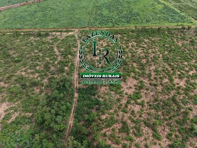Imagem 5: Chácara de 2.500M² Próximo a Palmas Região do Prata
