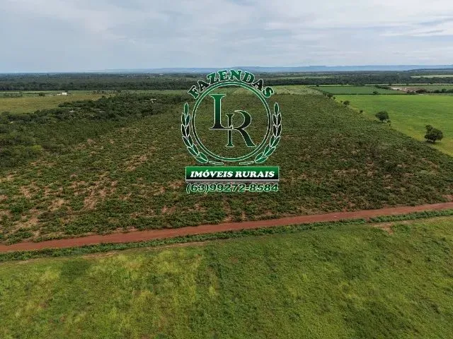 Imagem 16: Chácara de 2.500M² Próximo a Palmas Região do Prata