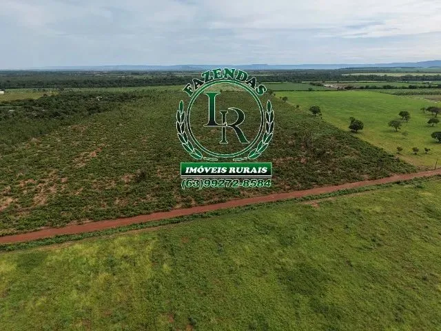 Imagem 15: Chácara de 2.500M² Próximo a Palmas Região do Prata