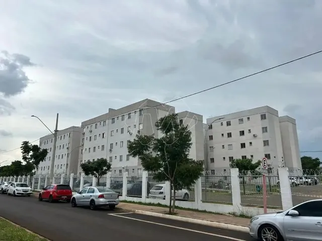 Imagem: Venda de Apartamentos / Padrão na Cidade
