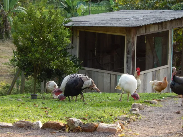 Imagem 3: Chácara Sítio com 60.000m² totalmente montado, casa 200m² , 6 tanques de peixes 4