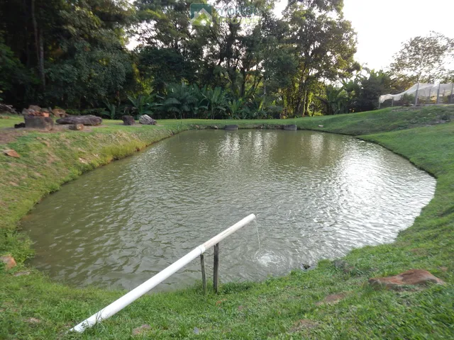 Imagem 10: Chácara Sítio com 60.000m² totalmente montado, casa 200m² , 6 tanques de peixes 4
