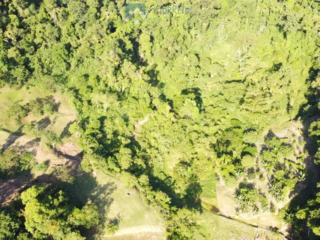 Imagem 8: Chácara Sítio com 60.000m² totalmente montado, casa 200m² , 6 tanques de peixes 4