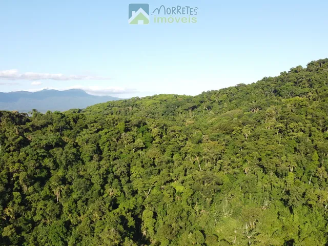 Imagem 13: Chácara Sítio com 60.000m² totalmente montado, casa 200m² , 6 tanques de peixes 4