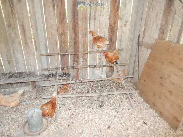 Imagem 6: Chácara Sítio com 60.000m² totalmente montado, casa 200m² , 6 tanques de peixes 4