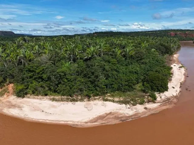 Imagem: Venda de Fazenda para Criação de Gado