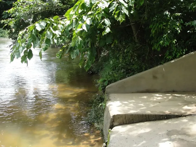 Imagem 2: Venda de Chácara
