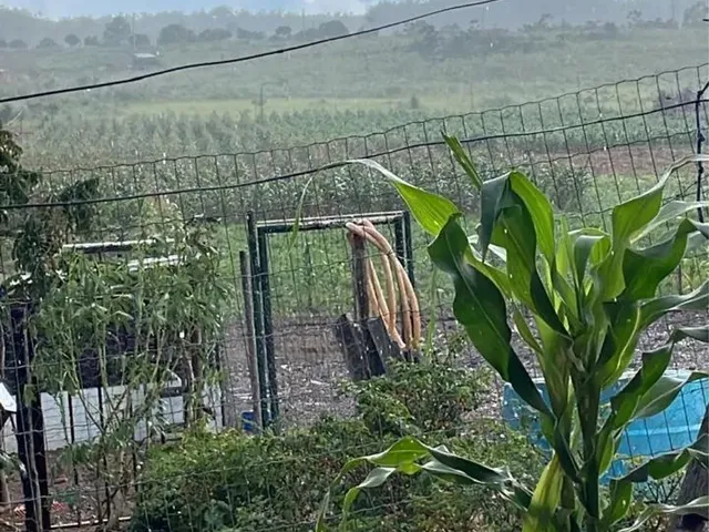 Imagem 6: Chácara Setor Aguilhada São Sebastião