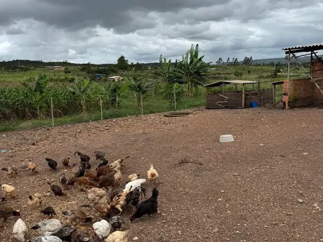 Imagem 11: Chácara Setor Aguilhada São Sebastião