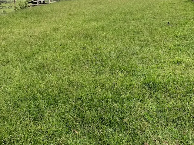 Imagem 12: Chácara Setor Aguilhada São Sebastião
