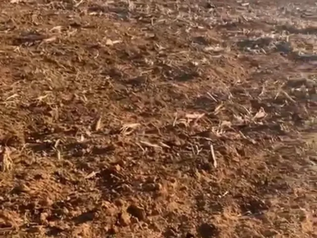 Imagem: Vendi 2 Hectares de Terra