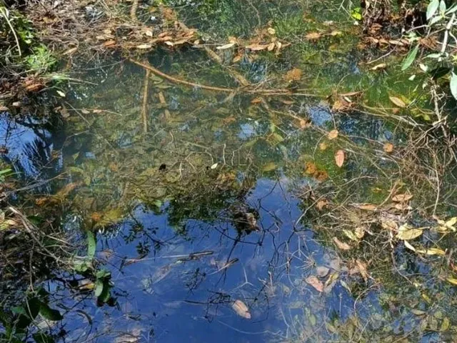 Imagem 3: Chacara Formada. Porteira Fechada