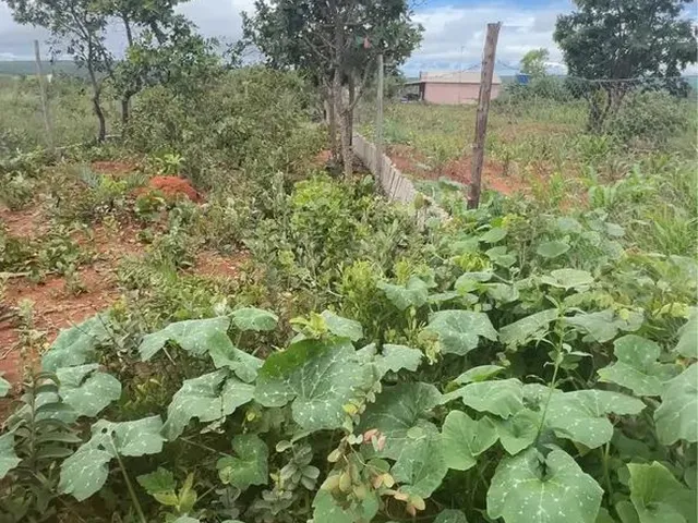 Imagem 3: Venda Ou Troca Chácara com venda por R$110.000