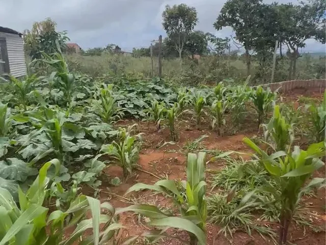 Imagem 4: Venda Ou Troca Chácara com venda por R$110.000