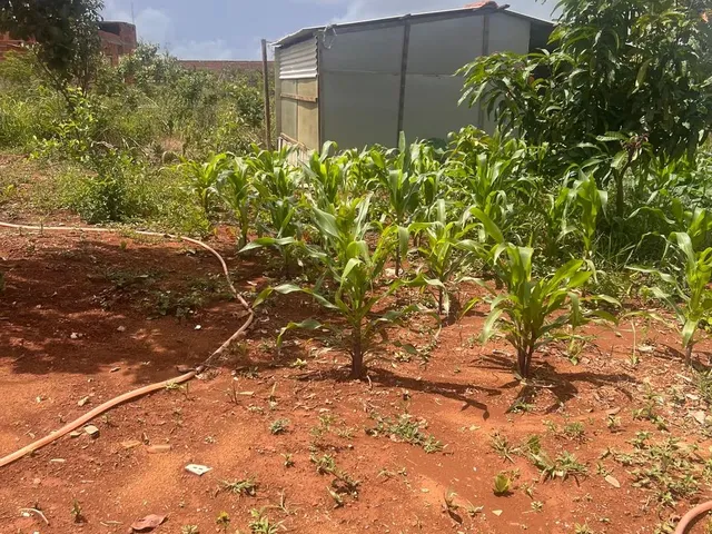 Imagem 6: Venda Ou Troca Chácara com venda por R$110.000