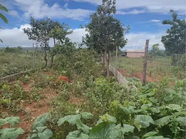 Imagem 7: Venda Ou Troca Chácara com venda por R$110.000