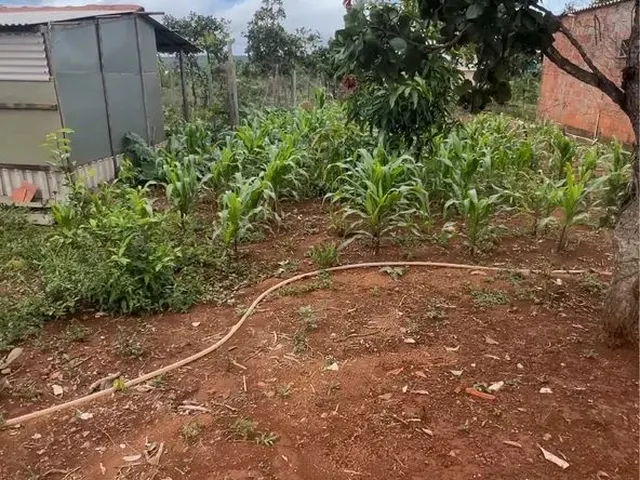 Imagem 11: Venda Ou Troca Chácara com venda por R$110.000