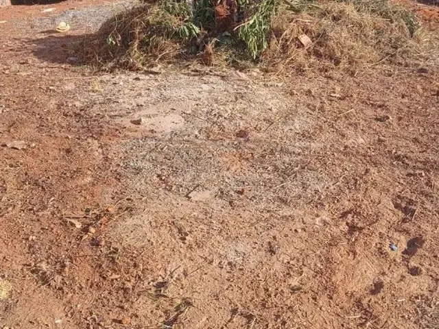 Imagem 3: Lote na Ponte Alta Norte 450 Mts