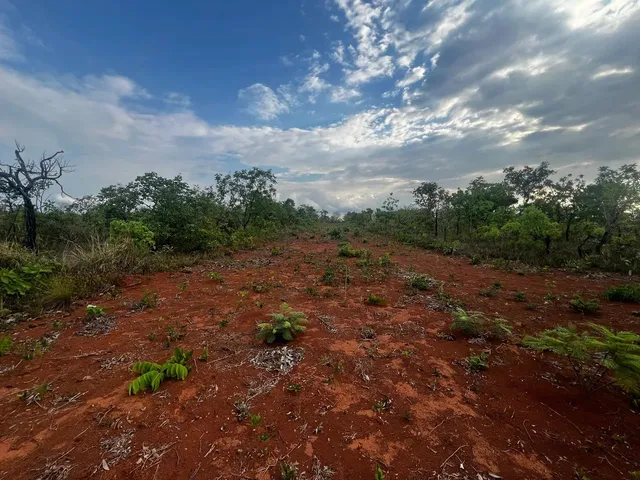 Imagem 1: Vendo Lote no Df Região Tororó Ao Lado do Alphaville, Divisa Jardim Abc (Ocidental