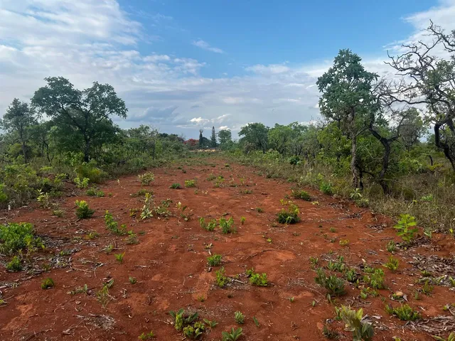 Imagem 3: Vendo Lote no Df Região Tororó Ao Lado do Alphaville, Divisa Jardim Abc (Ocidental