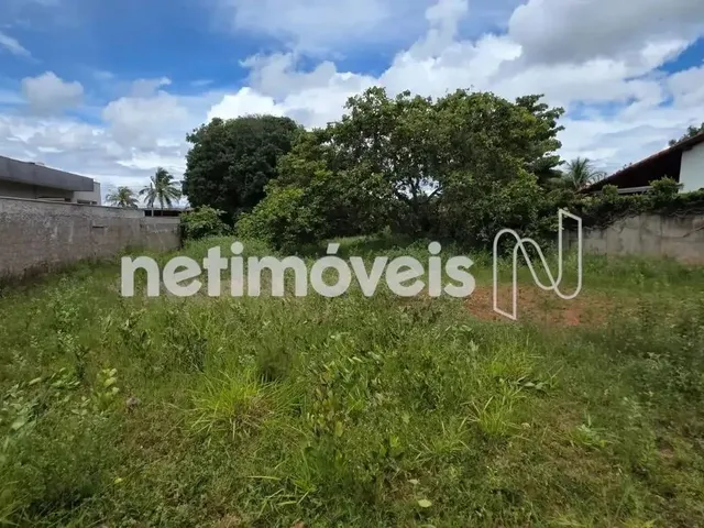Imagem: Oportunidade Única no Lago Norte Qi 13